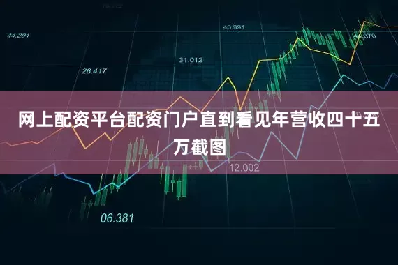 网上配资平台配资门户直到看见年营收四十五万截图